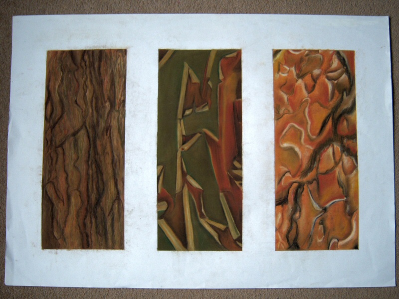 Photo - Earth Triptych - Early Work 1998 - For Sale - © Sarah Myerscough